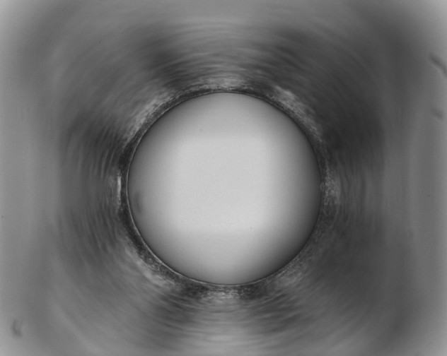 X0000103260110200809121932