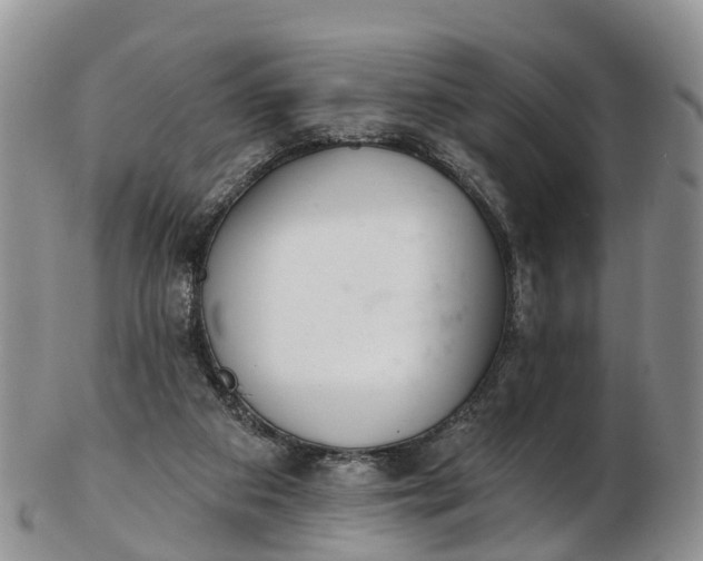 X0000103260113200809121932