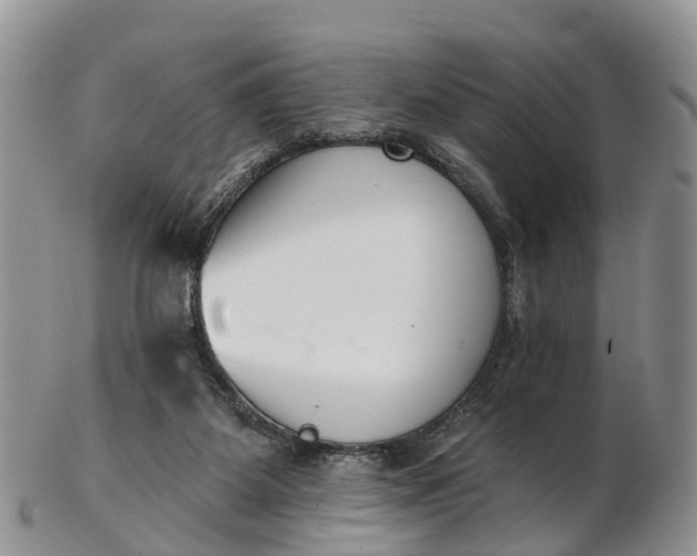 X0000103260115200809121932