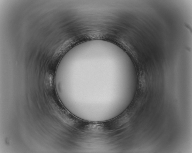 X0000103260117200809121931