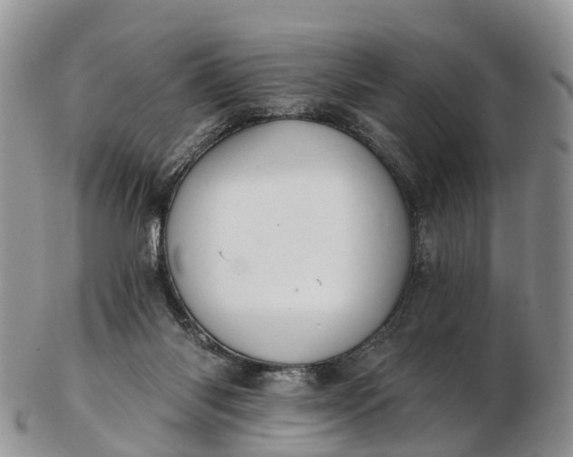 X0000103260118200809121931