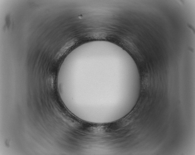 X0000103260120200809121931