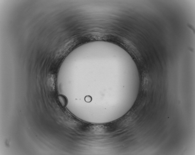 X0000103260121200809121931