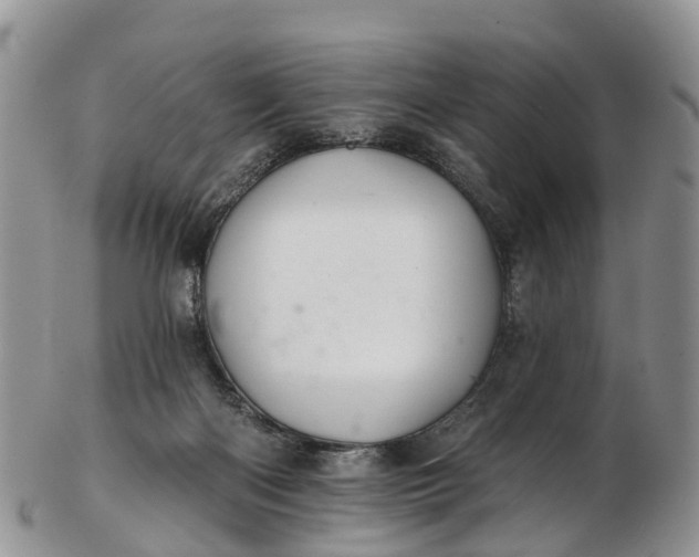 X0000103260122200809121931