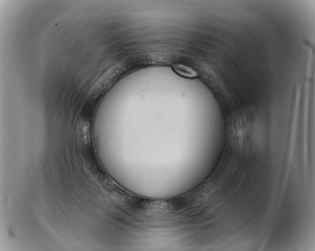 X0000103260123200809121931