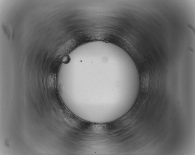 X0000103260126200809121931