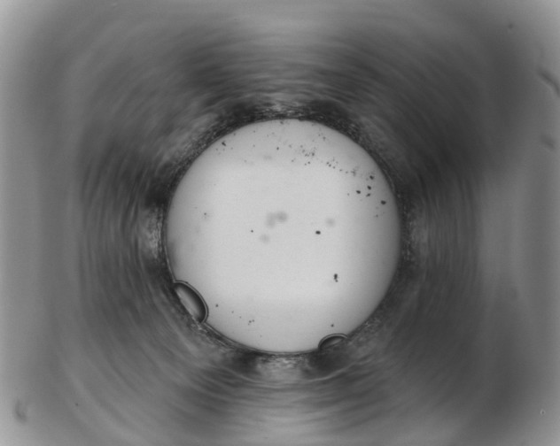 X0000103260129200809121931