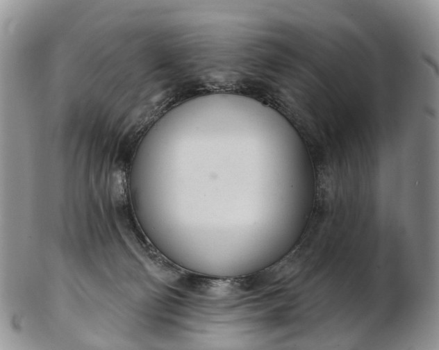 X0000103260130200809121931