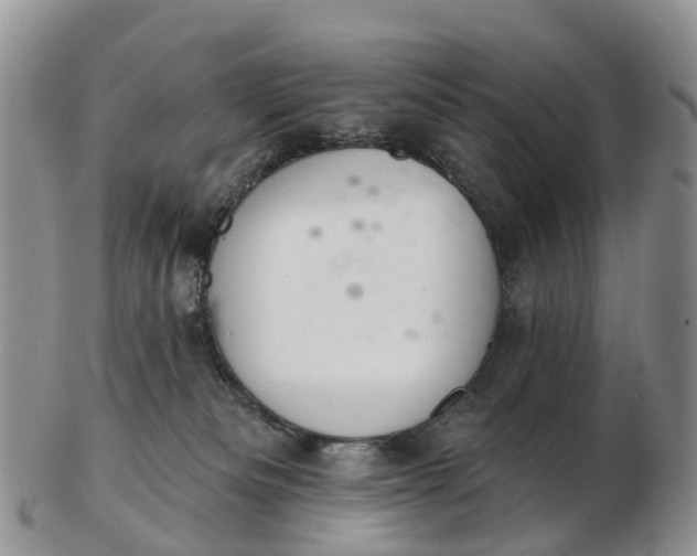 X0000103260133200809121931