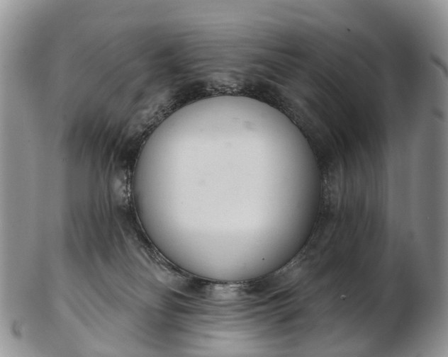 X0000103260134200809121931