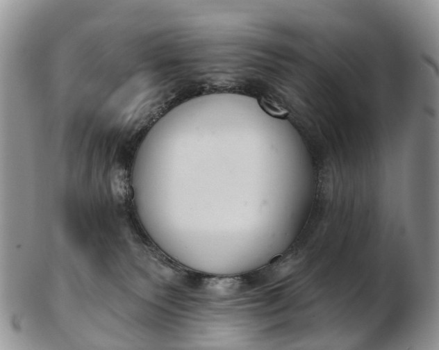 X0000103260135200809121931