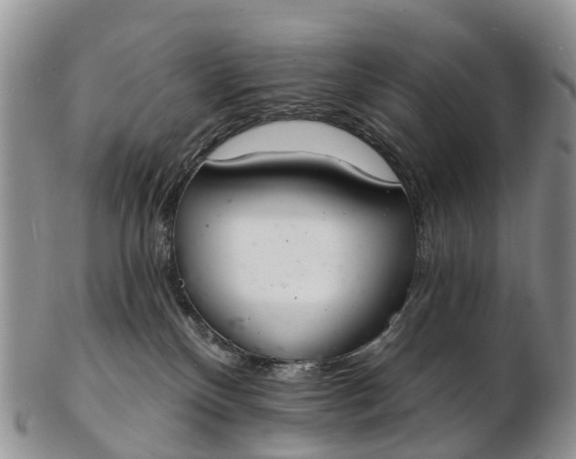 X0000103260136200809121931