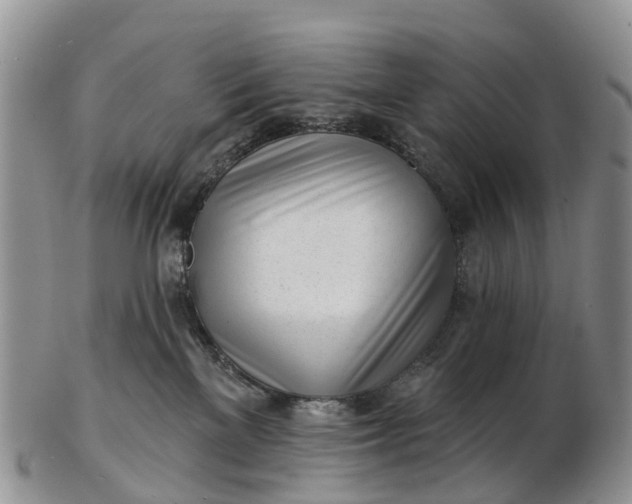 X0000103260137200809121931