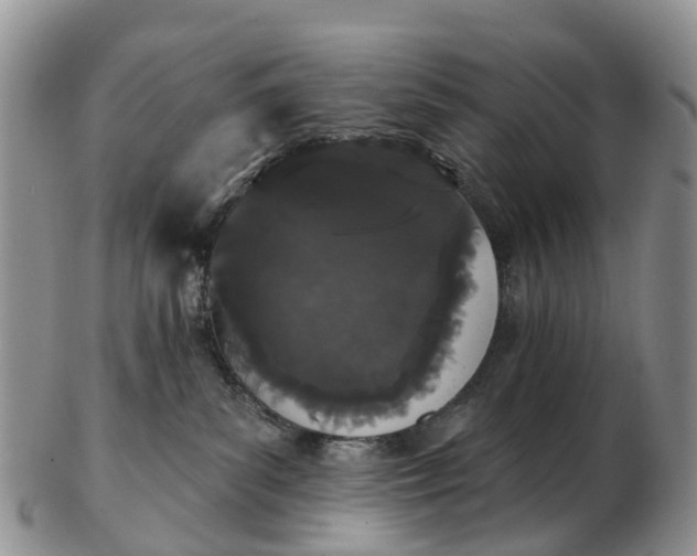 X0000103260139200809121931