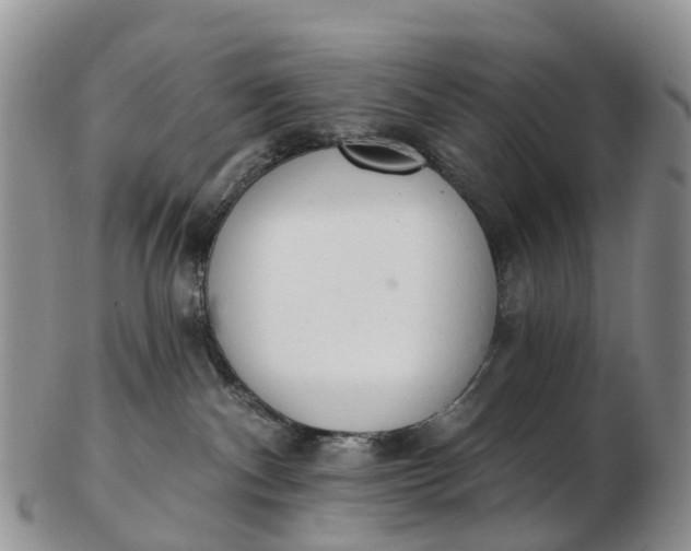 X0000103260140200809121931