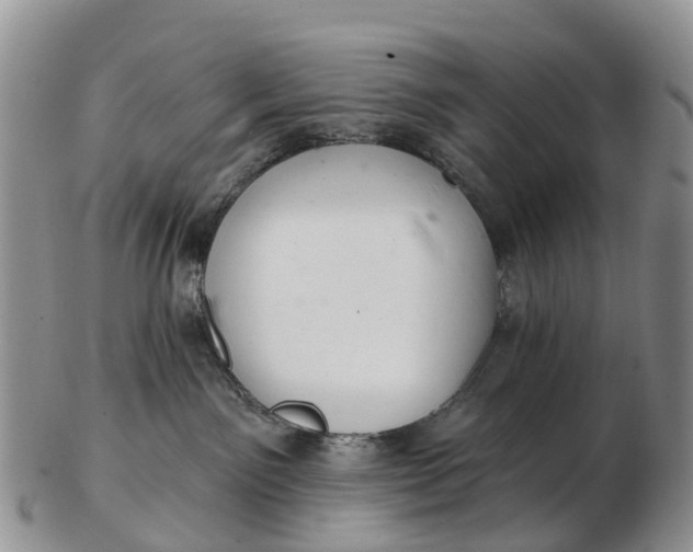 X0000103260141200809121931