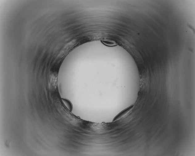 X0000103260142200809121931