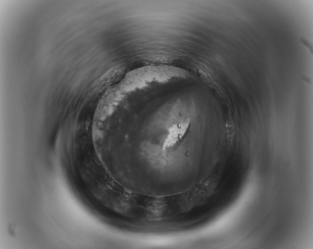 X0000103260143200809121931