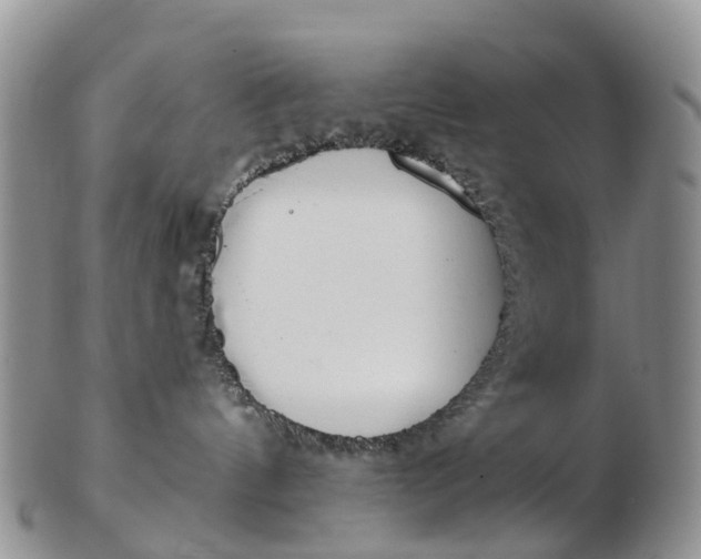 X0000103260144200809121931