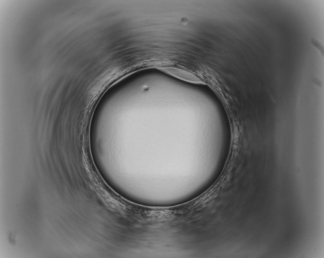 X0000103260145200809121930