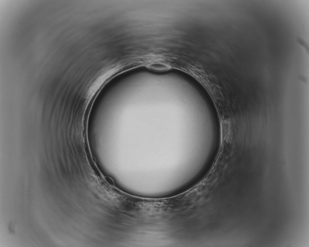 X0000103260147200809121930