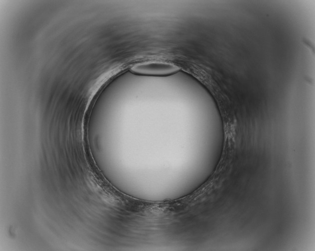 X0000103260148200809121930