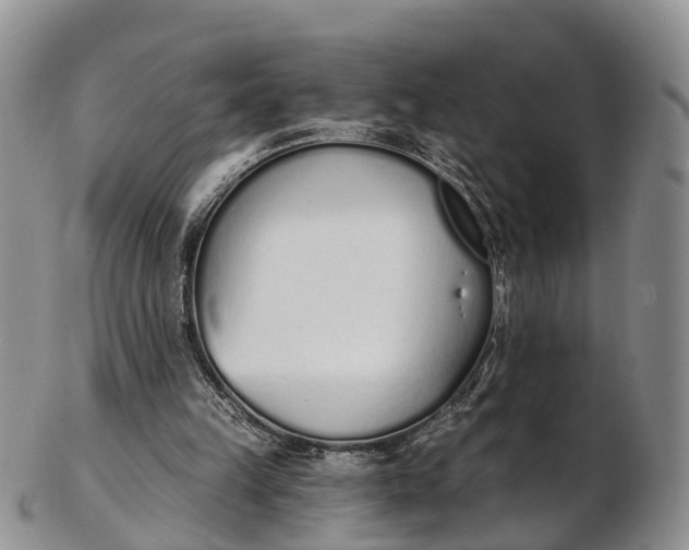 X0000103260149200809121931