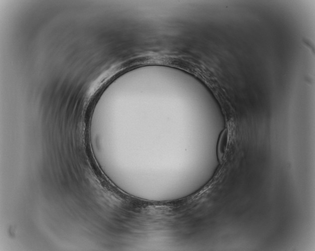 X0000103260150200809121931