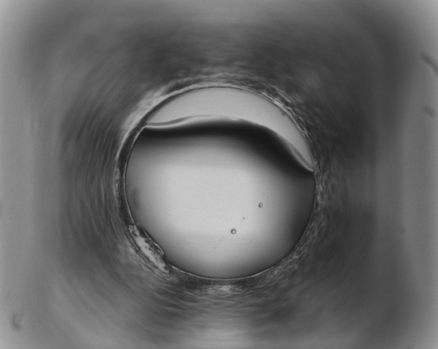 X0000103260152200809121931