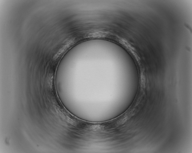 X0000103260153200809121931