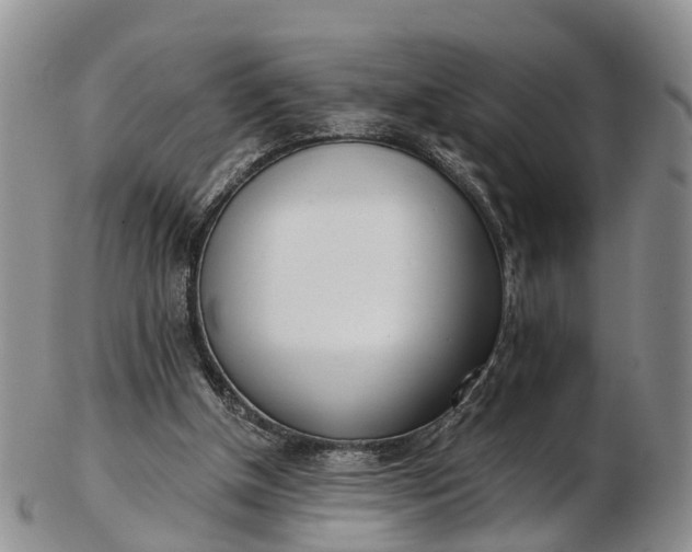 X0000103260154200809121931