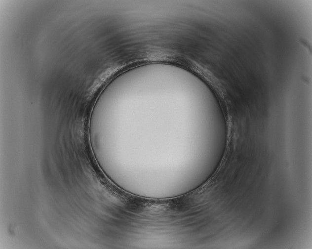 X0000103260155200809121931