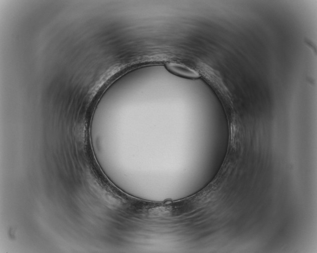 X0000103260156200809121931