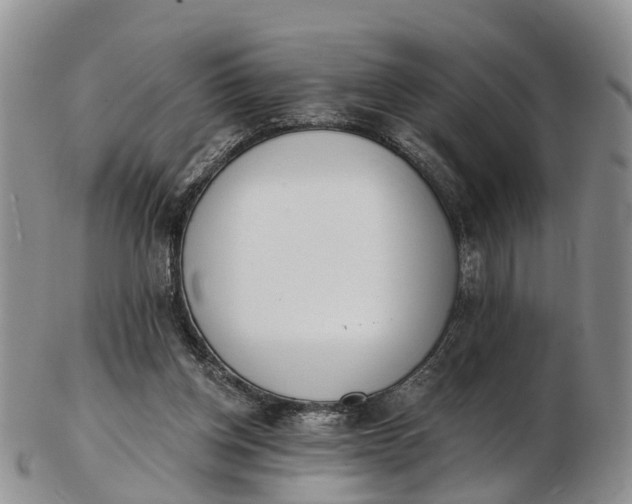 X0000103260158200809121931