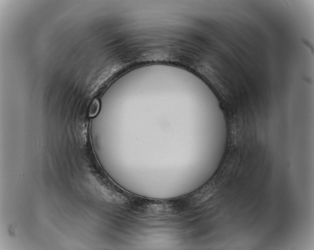 X0000103260160200809121931