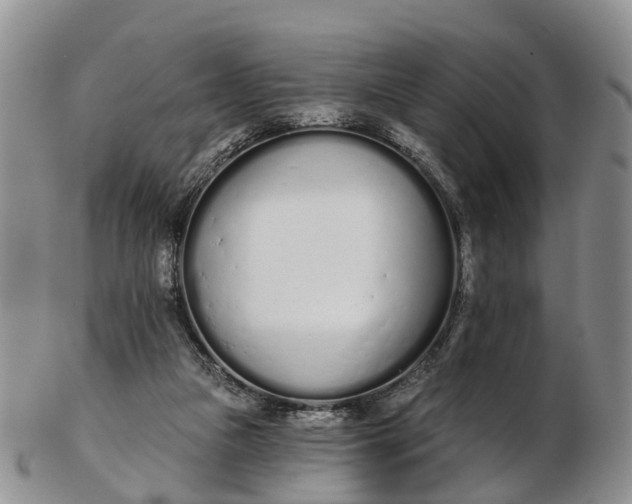 X0000103260161200809121931