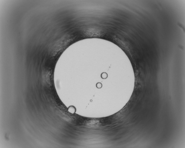 X0000103260162200809121931