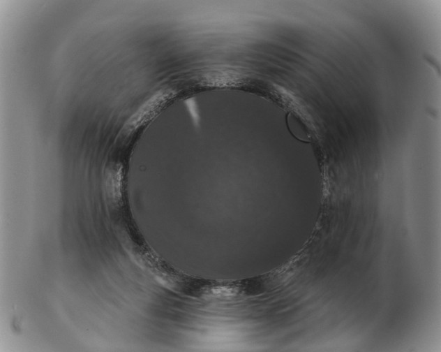 X0000103260163200809121931