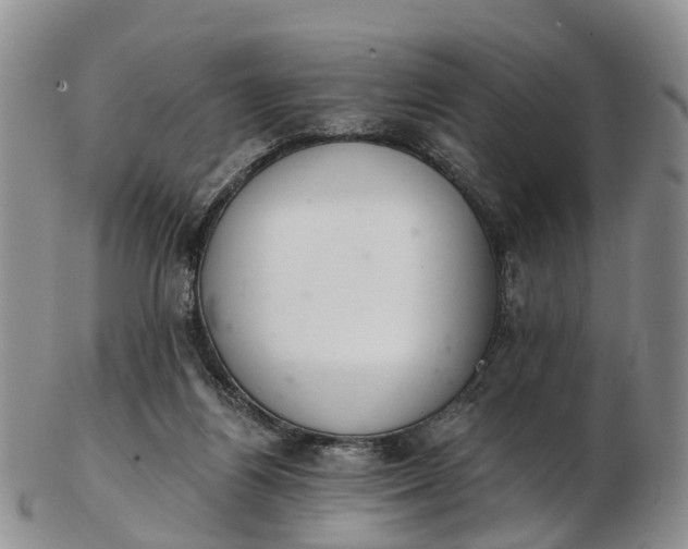 X0000103260164200809121931