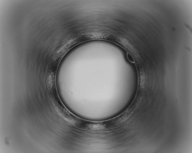 X0000103260165200809121931