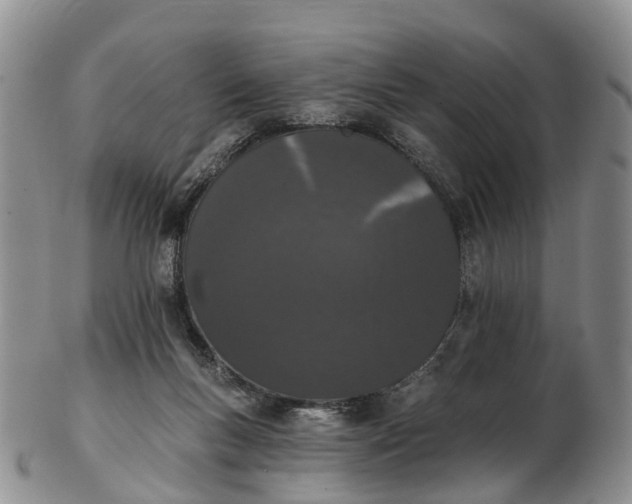 X0000103260167200809121931