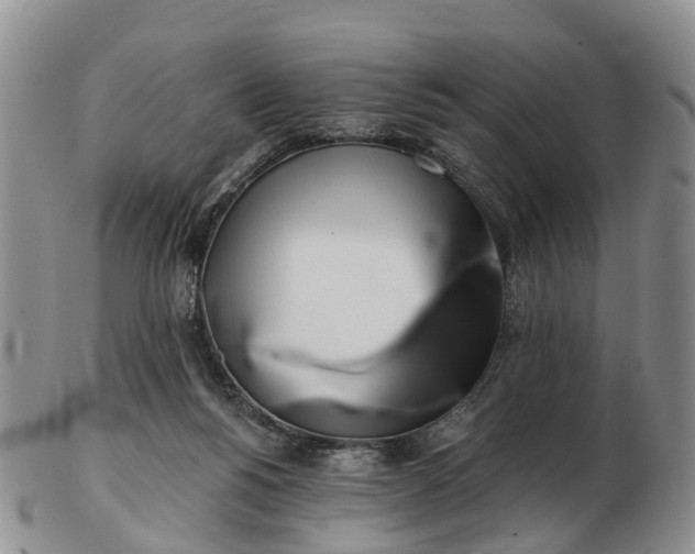 X0000103260168200809121931