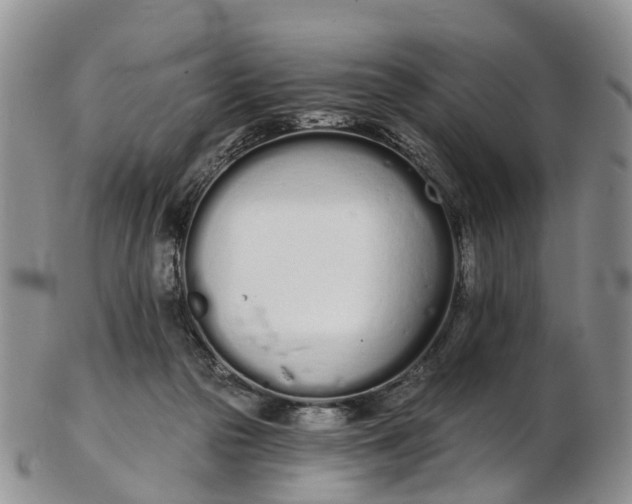 X0000103260169200809121931