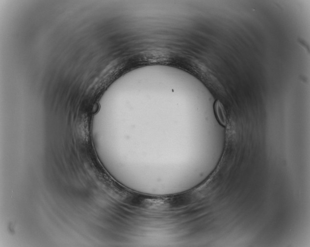 X0000103260170200809121931