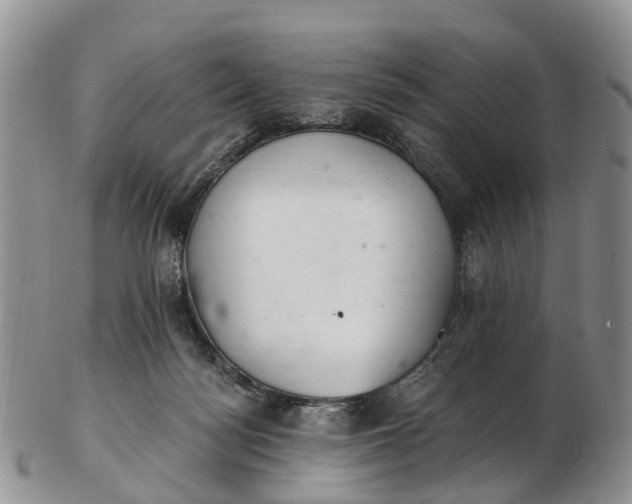 X0000103260172200809121931