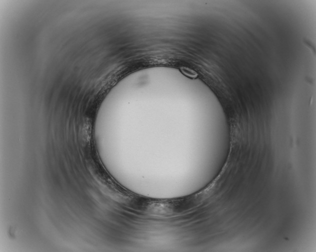 X0000103260174200809121931