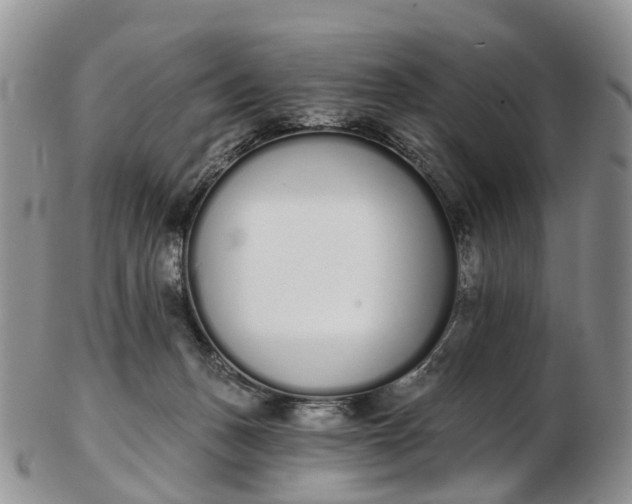 X0000103260175200809121931