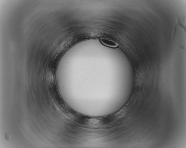 X0000103260176200809121931