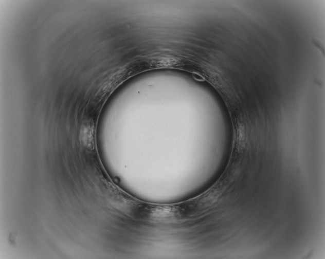 X0000103260177200809121931