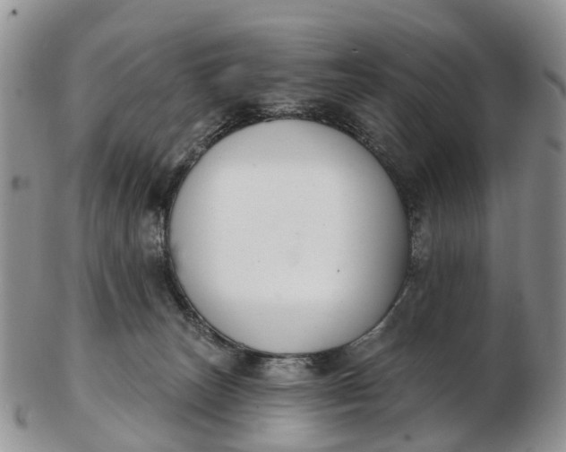 X0000103260179200809121931